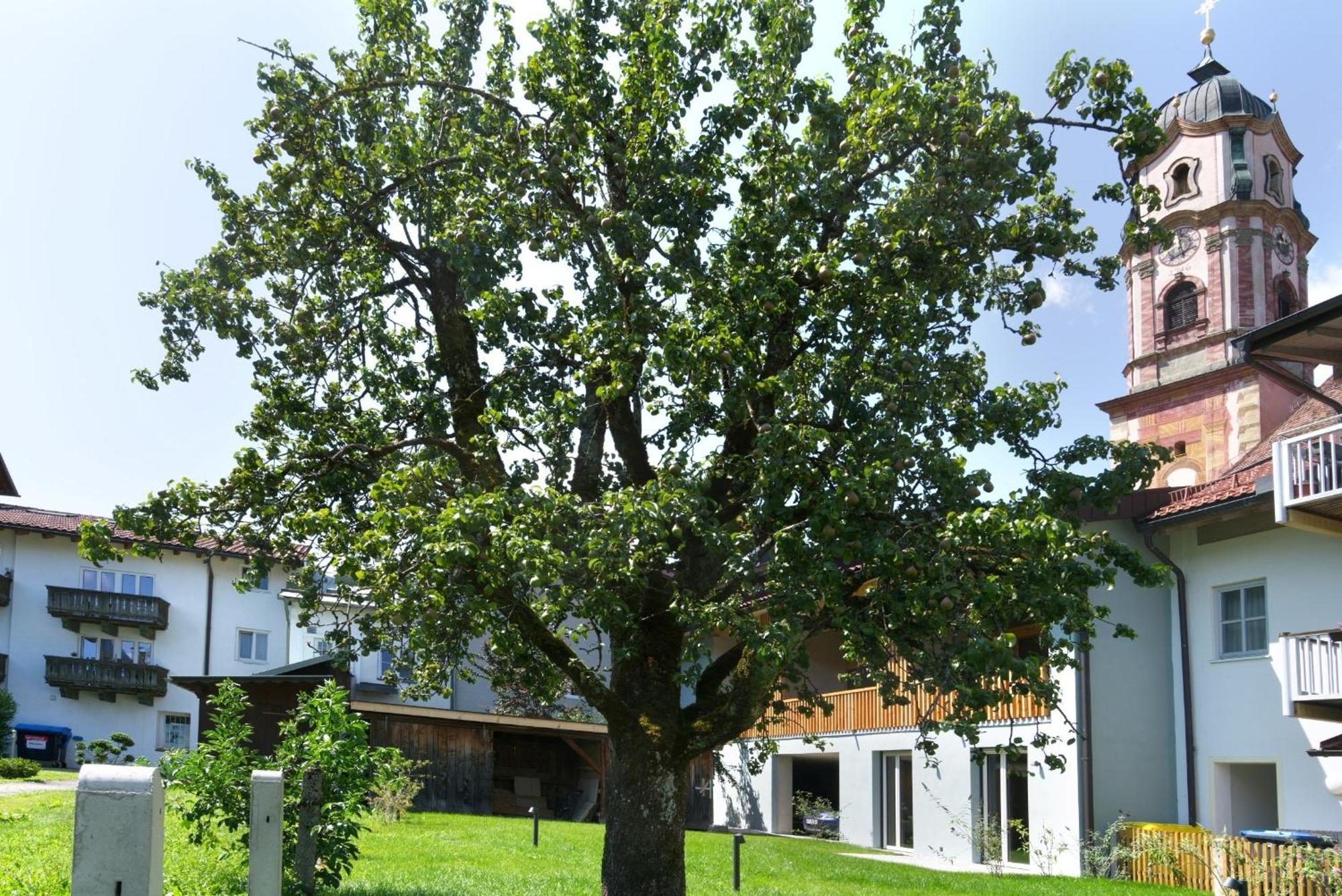 Adlerhaus, Gartenwohnung -410- ミッテンヴァルト エクステリア 写真